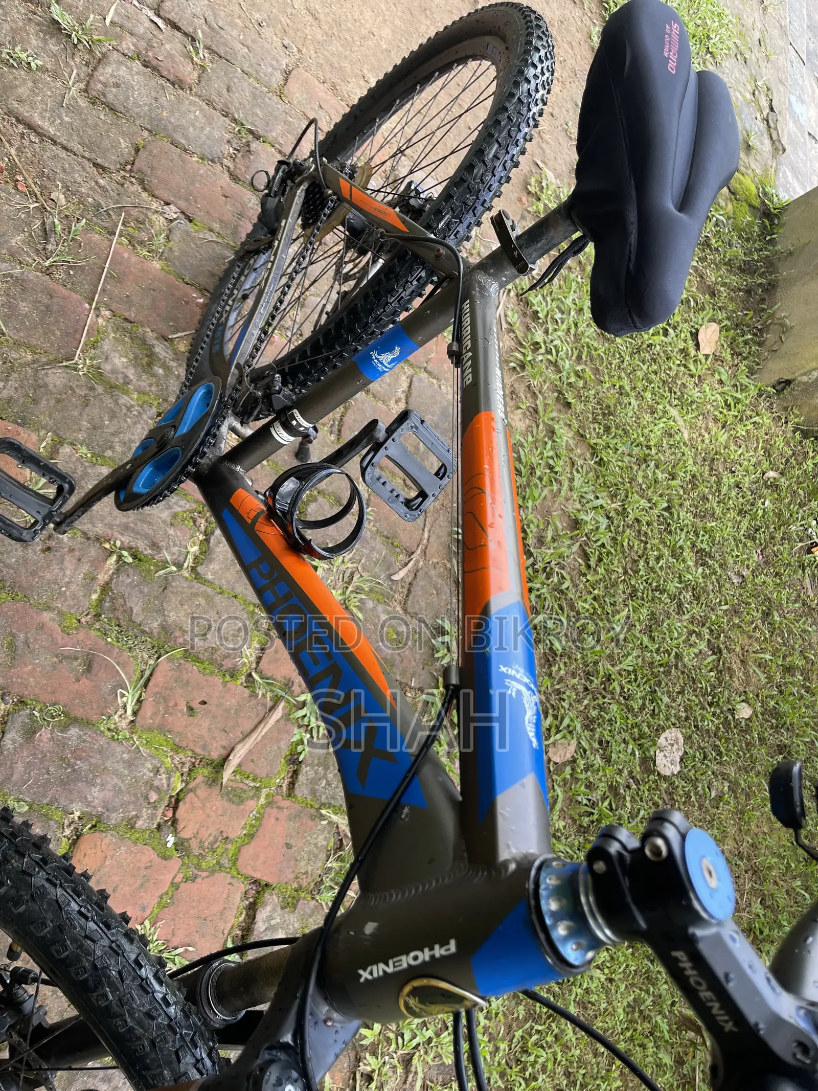 Phoenix Bicycle
