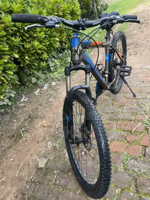 Phoenix Bicycle