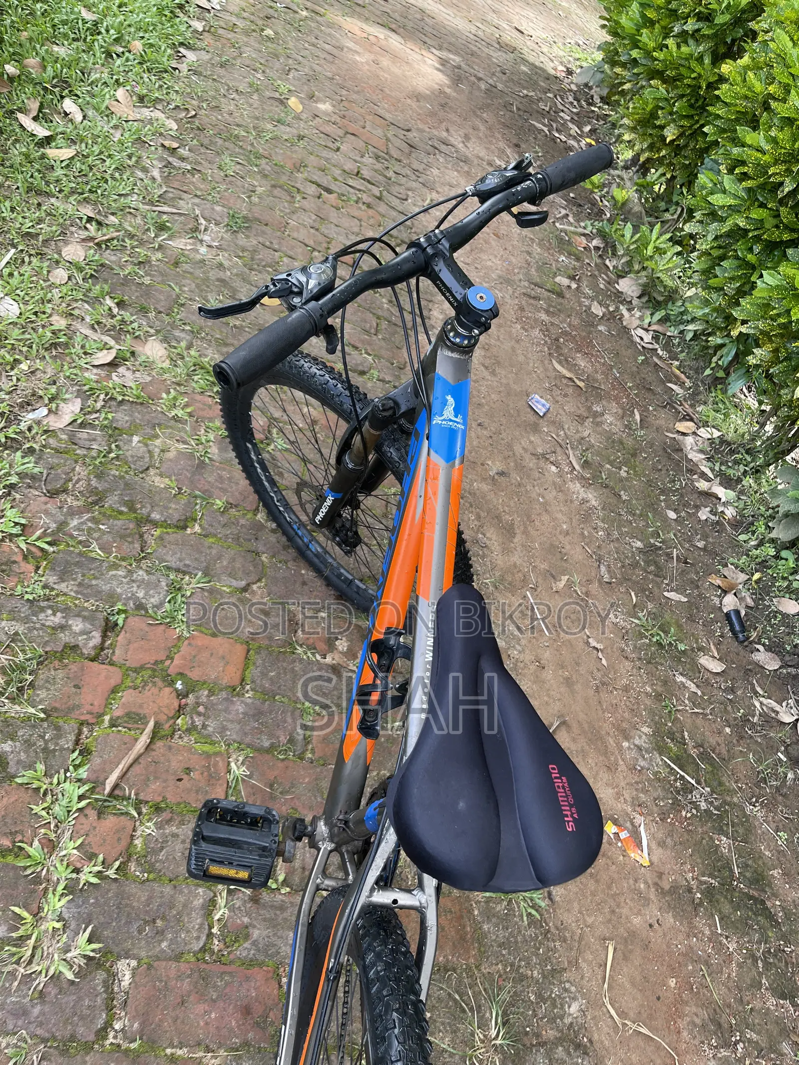 Phoenix Bicycle