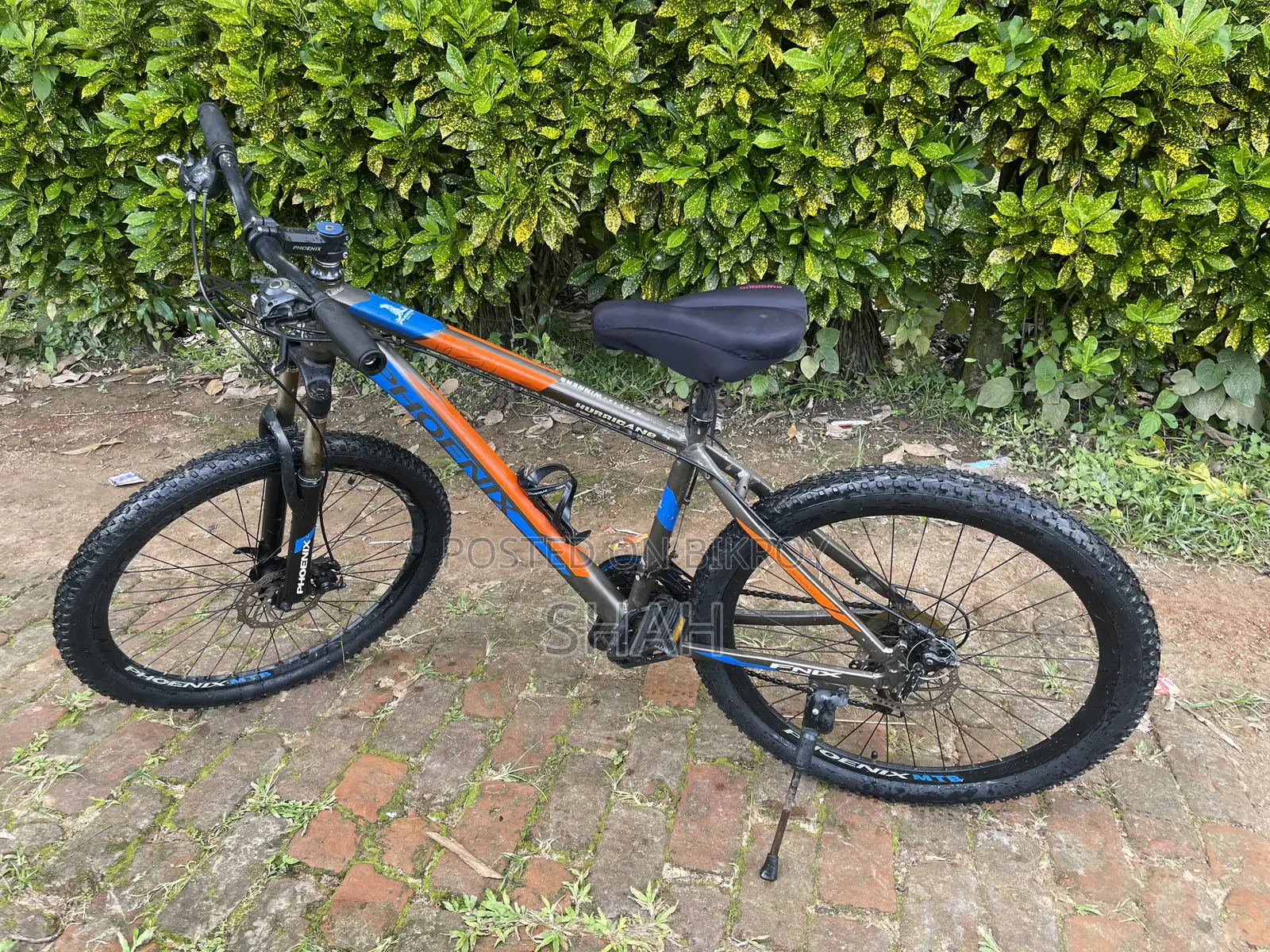 Phoenix Bicycle