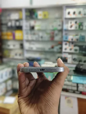 Apple iPhone 15 Pro Max 256 GB Gray