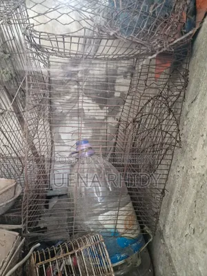 পাখির খাচা