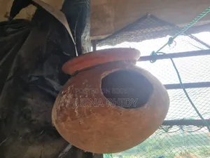 পাখির হাঁড়ি