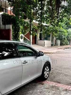 Toyota Axio 2009 Silver