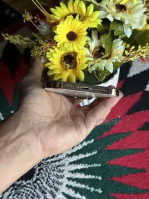 Apple iPhone 13 Pro Max 128 GB Gold