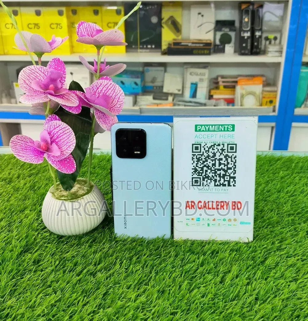 Xiaomi 13 256 GB Blue