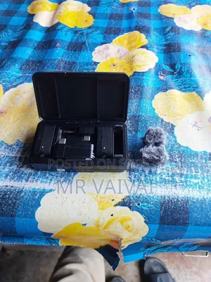 Ulanji A100  Microphone