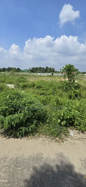 পূর্বাচুল সেক্টর -১৫ দক্ষিণ মুখী ৬ কাঠা প্লট বিক্রি করা হবে