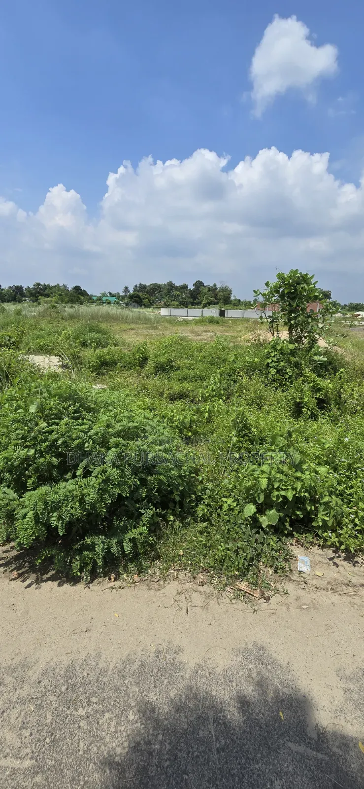 পূর্বাচুল সেক্টর -১৫ দক্ষিণ মুখী ৬ কাঠা প্লট বিক্রি করা হবে
