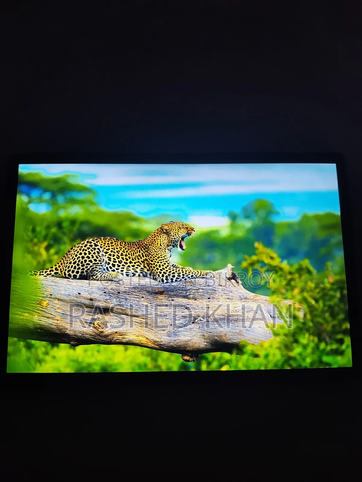 New Teclast T40 Plus 256 GB Green