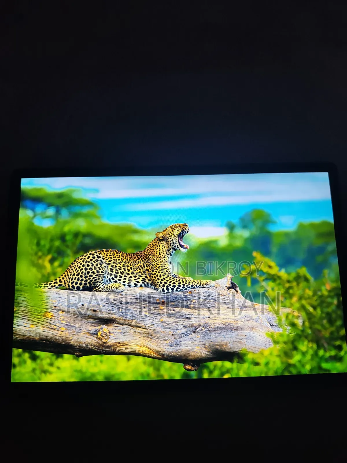 New Teclast T40 Plus 256 GB Green