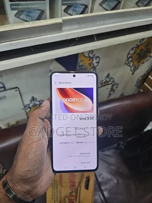 Vivo X70 Pro 256 GB Black