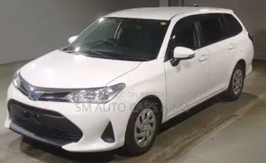 Toyota Corolla Fielder 2021 White
