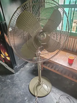 পাকিস্তানি স্টেন্ড ফ্যান