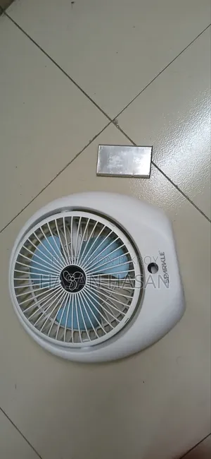 BLDC DC Fan Without Circuit
