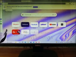 Dell 19 Inch Monitor (Spot & Mark)
