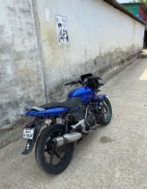 Bajaj Pulsar 150 2011 Blue