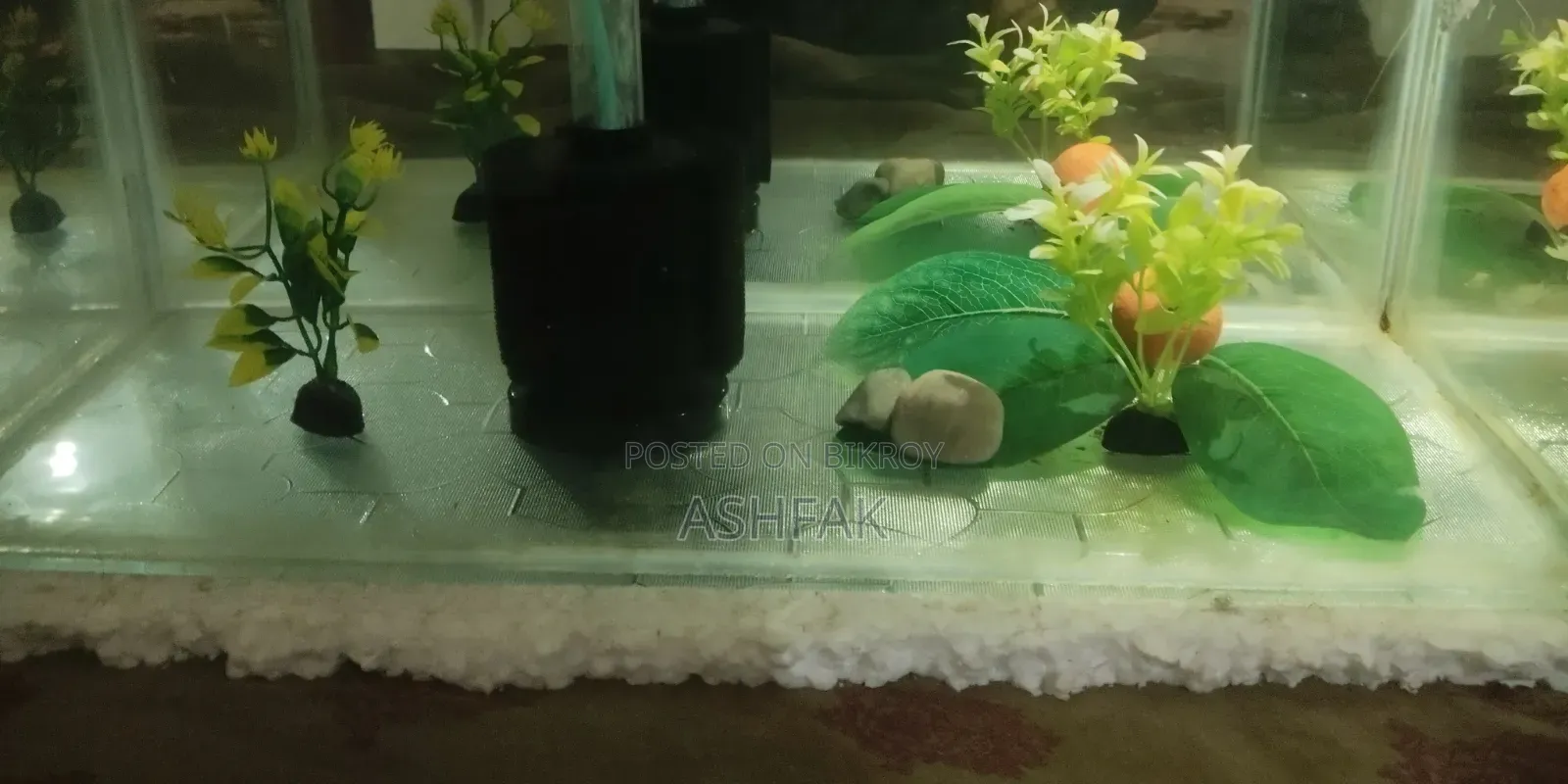Aquarium With Accessories and Fish
