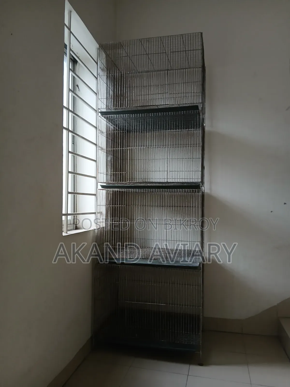 Bird Cage | 24/18/18