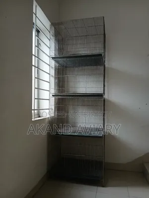 Bird Cage | 24/18/18
