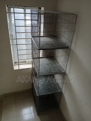Bird Cage | 24/18/18