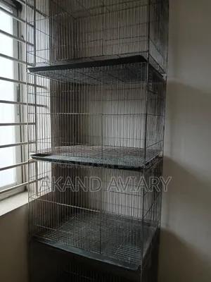 Bird Cage | 24/18/18