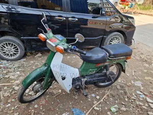 Suzuki 1994 Green