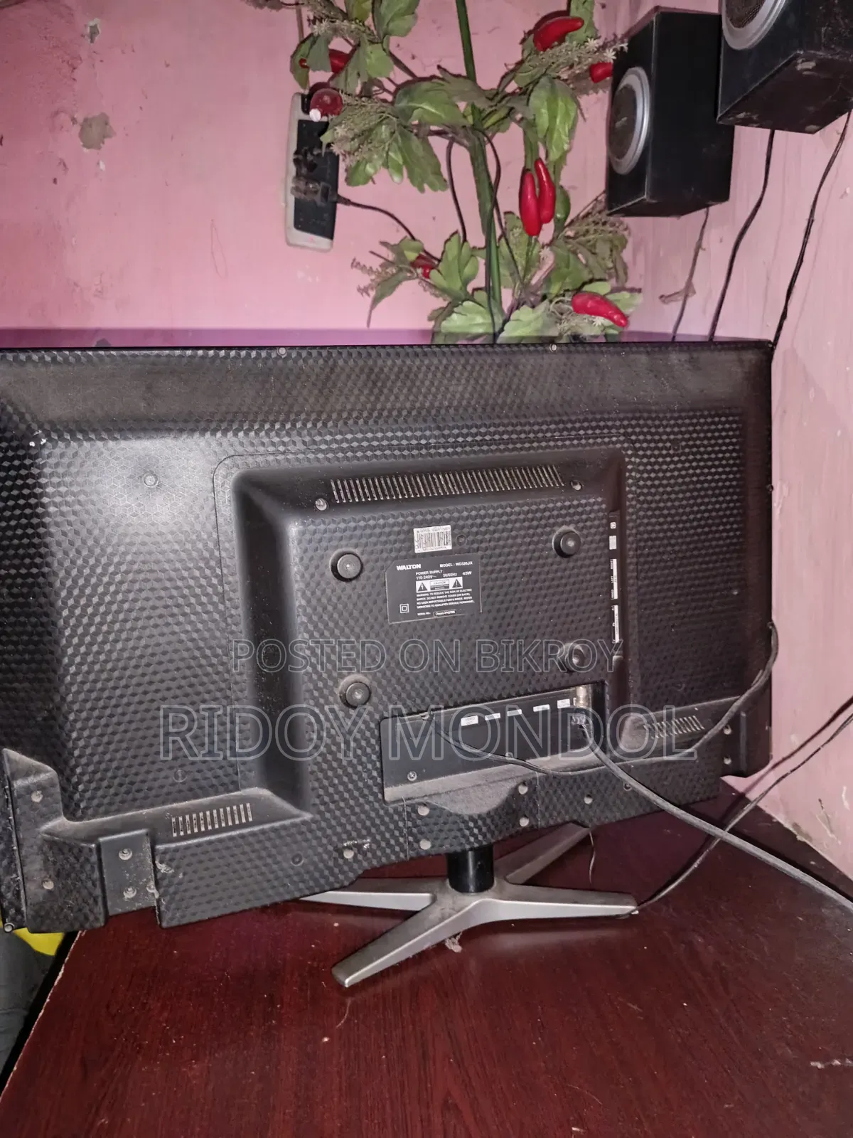 টিভ ওয়ালটন টেলিভিশন সেল