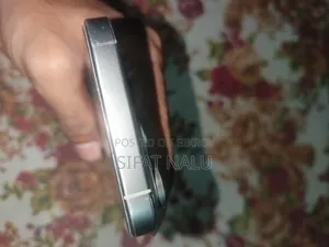 Apple iPhone 16 Pro 256 GB Silver