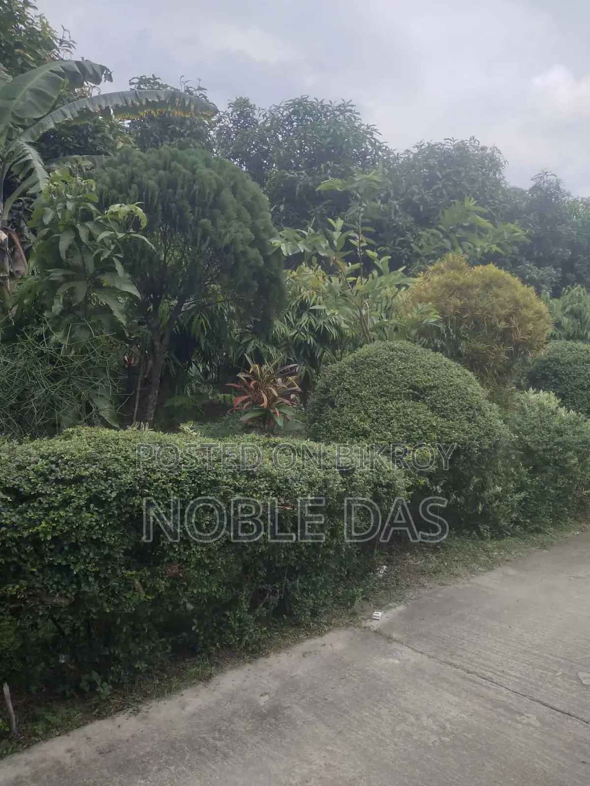 চালু হাসপাতালসহ ১৩৮ শতাংশ জমি বিক্রয়