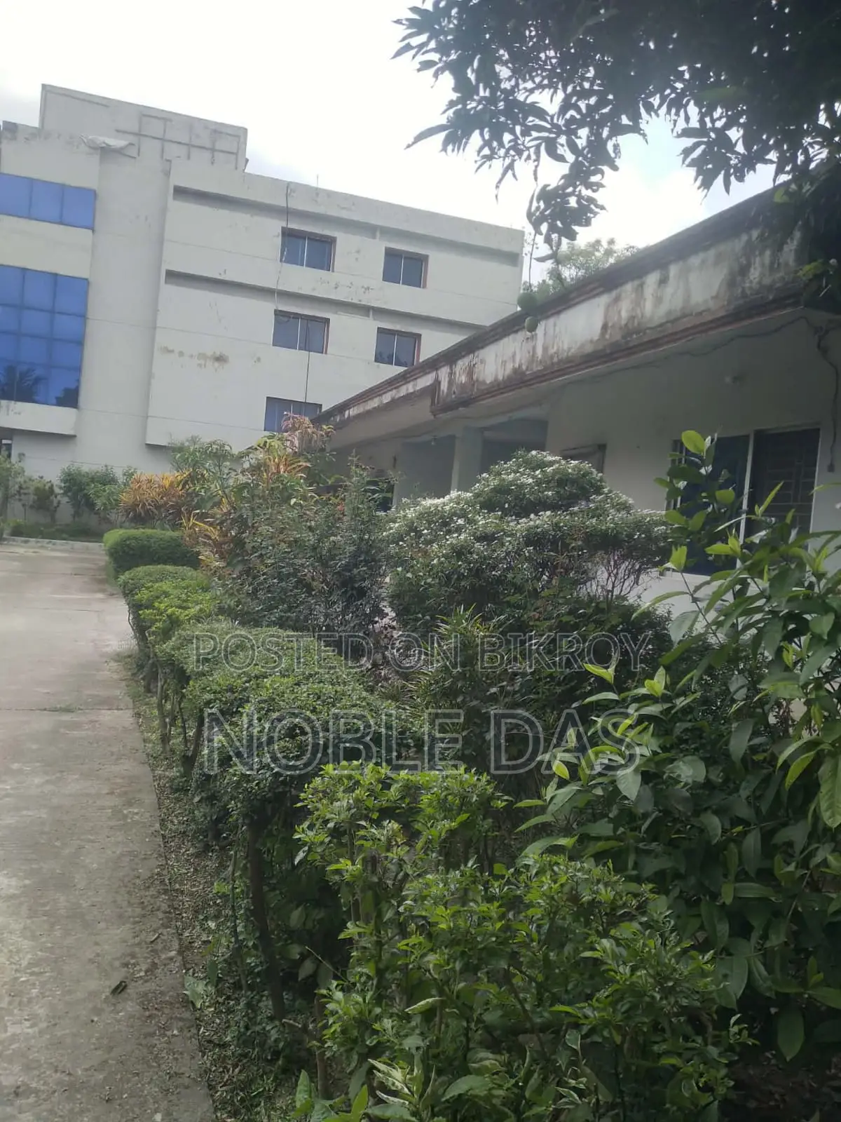 চালু হাসপাতালসহ ১৩৮ শতাংশ জমি বিক্রয়