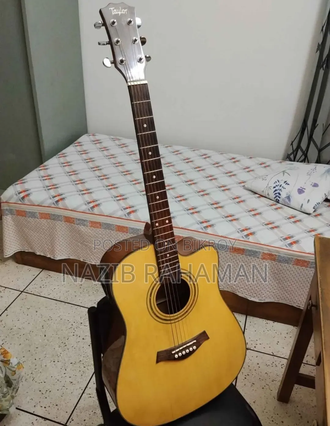 Professional Semi-Electric Acoustic Guitar