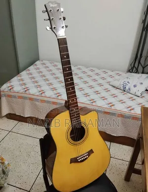 Professional Semi-Electric Acoustic Guitar