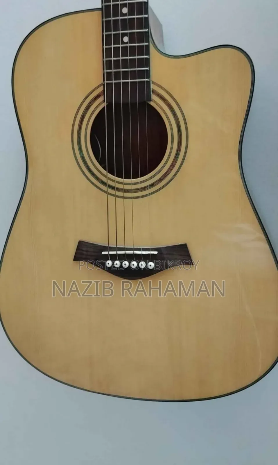 Professional Semi-Electric Acoustic Guitar