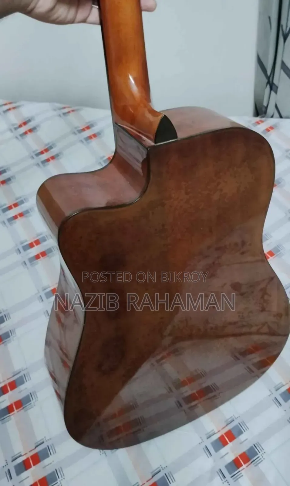 Professional Semi-Electric Acoustic Guitar