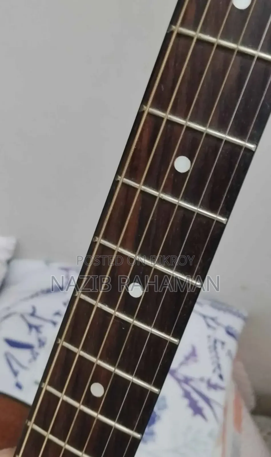 Professional Semi-Electric Acoustic Guitar