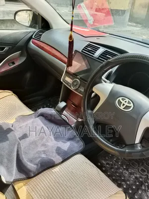 Toyota Premio 2010 Black