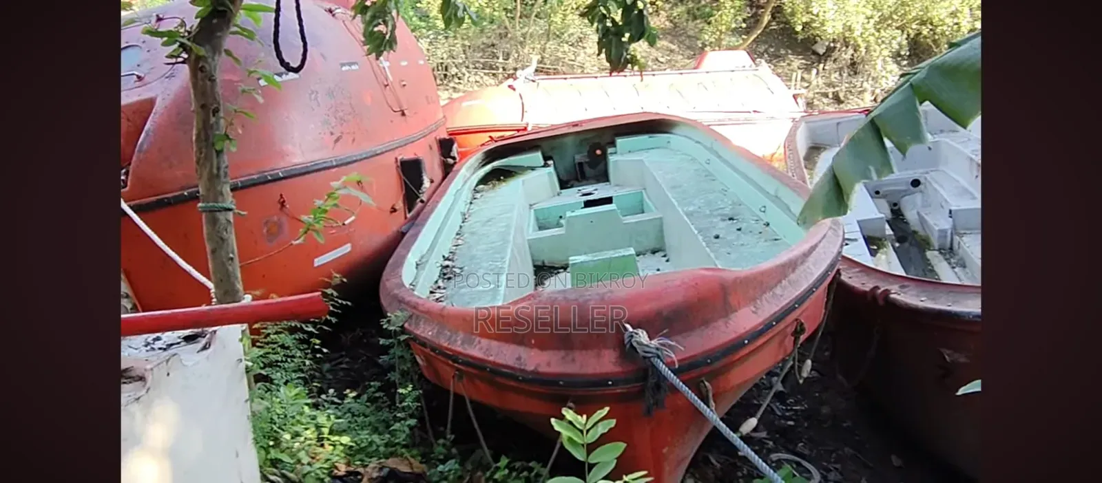 Boat,লাইভ বোর্ট