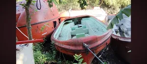 Boat,লাইভ বোর্ট
