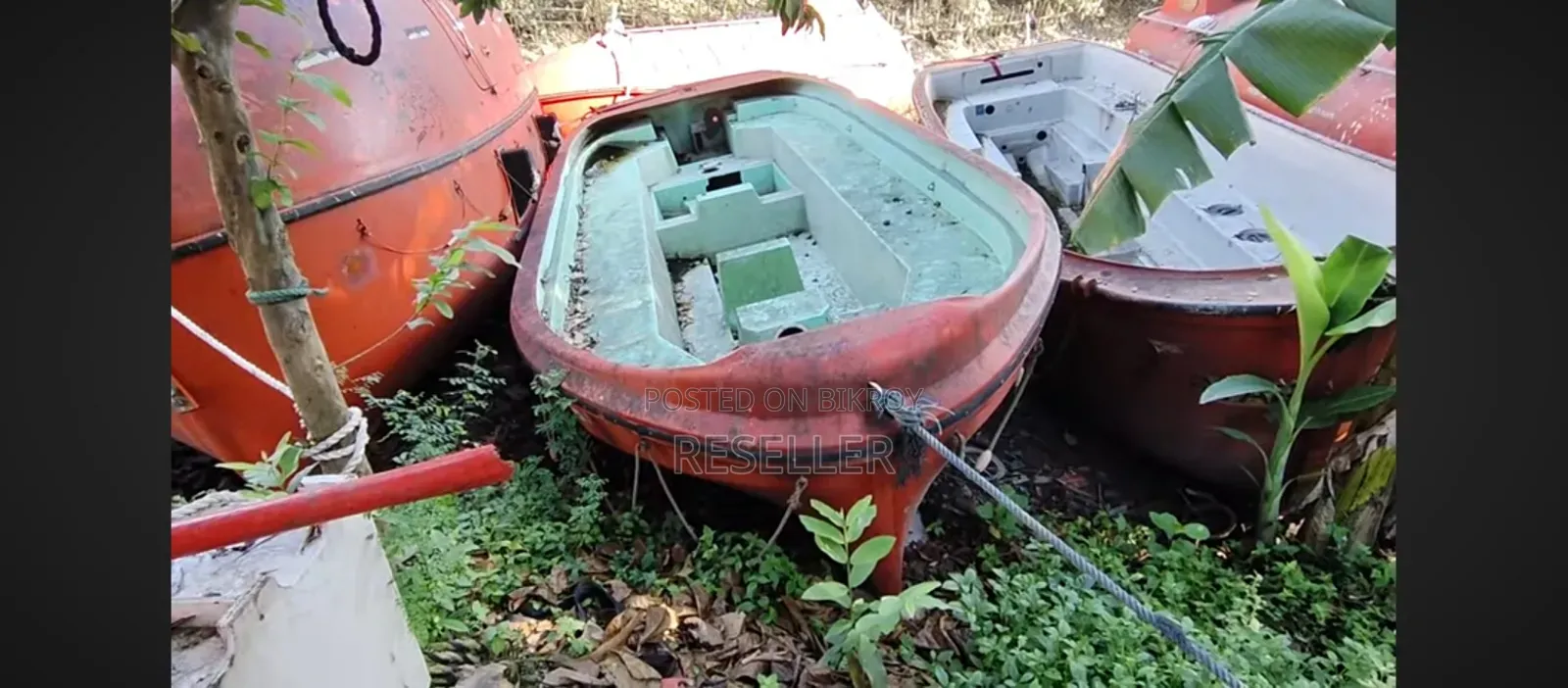 Boat,লাইভ বোর্ট