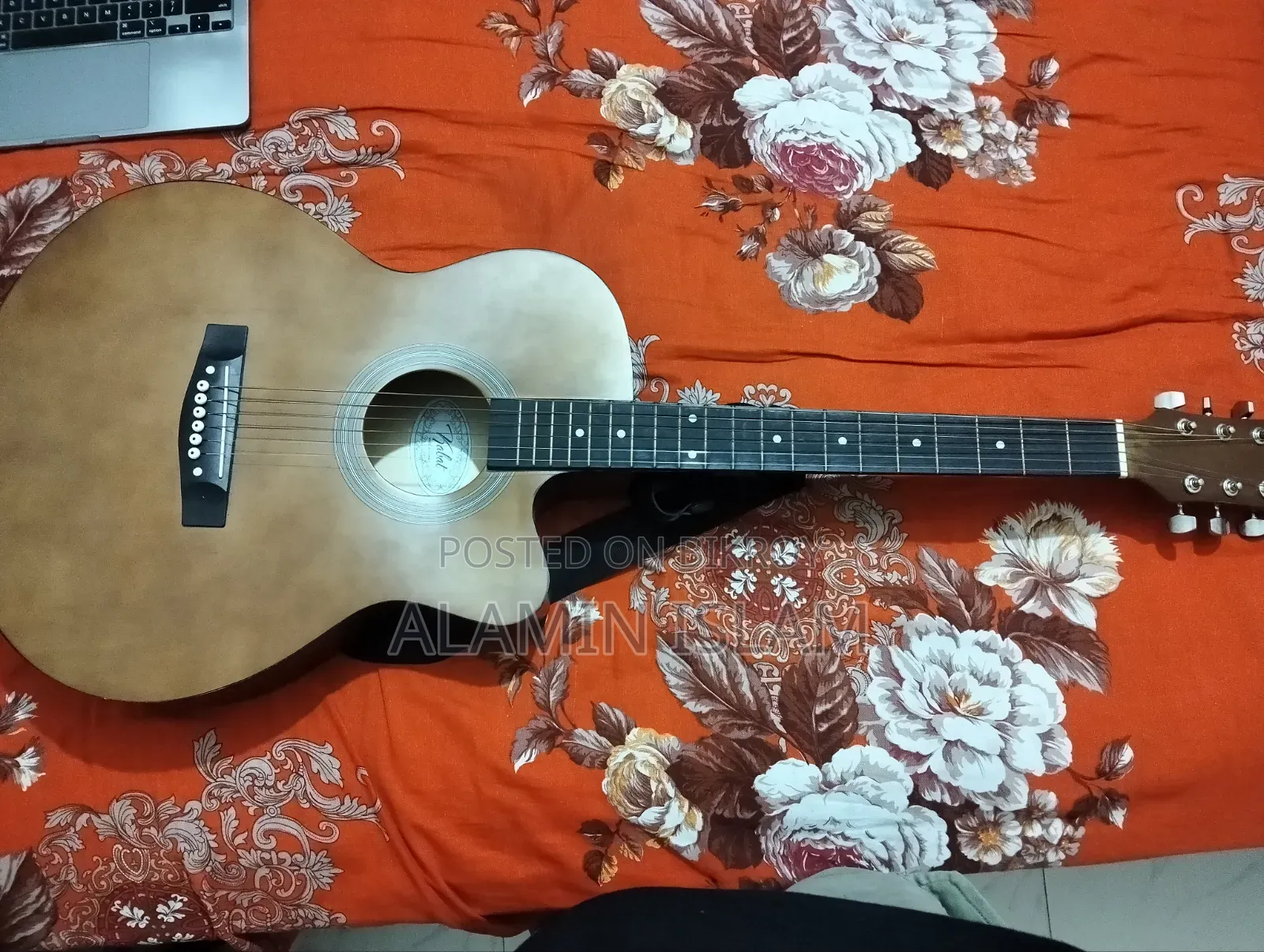 Acoustic Guitar