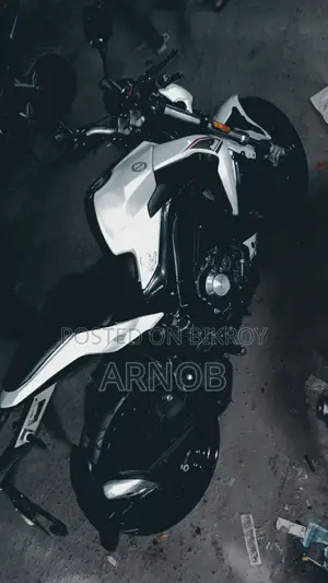 Benelli 2020 White