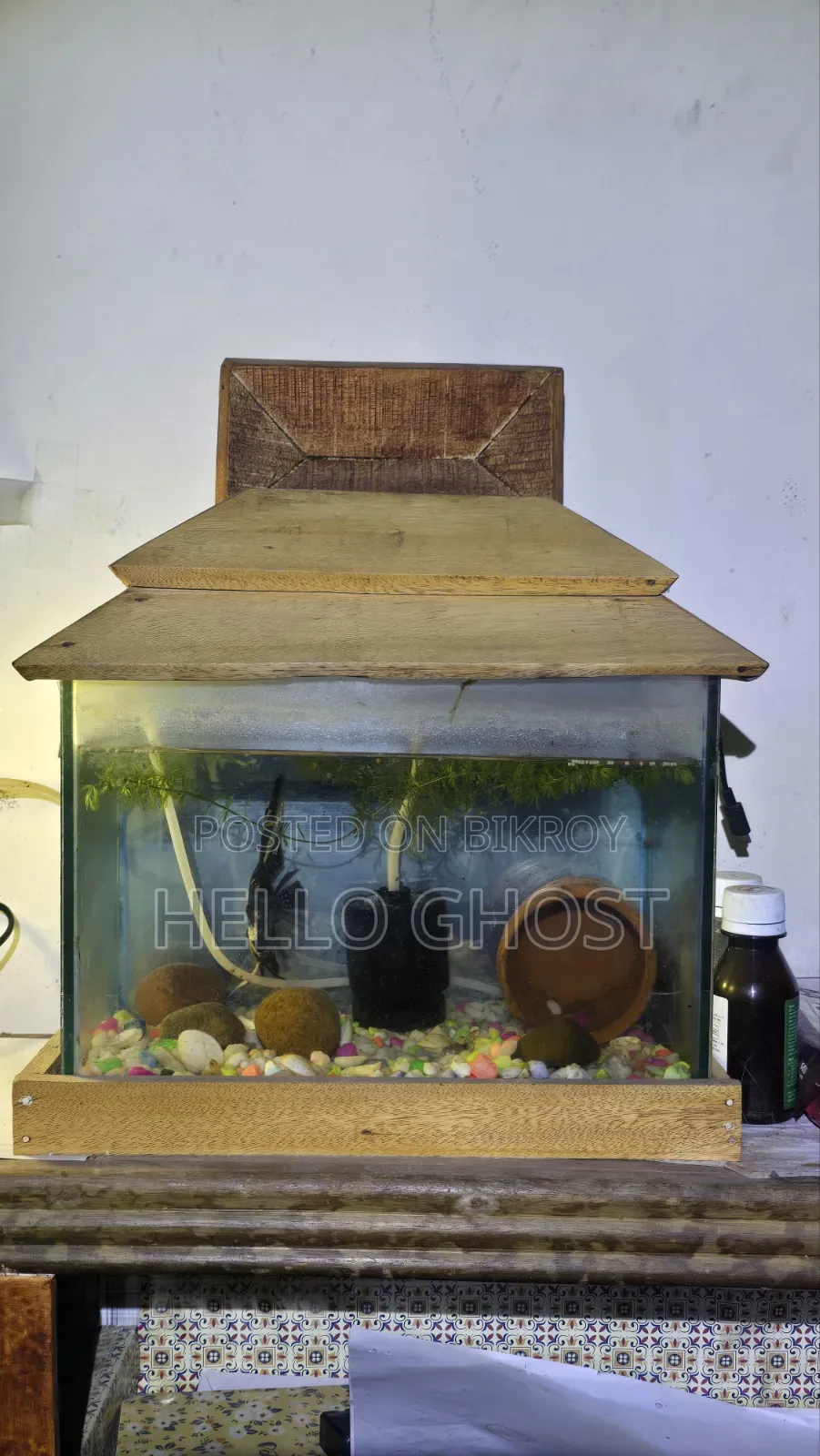 Medium Size Aquarium