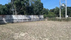 বাড়ী করার জন‍্য উপযগী