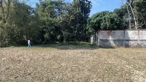 বাড়ী করার জন‍্য উপযগী