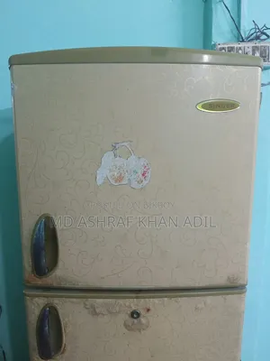 এই ফ্রিজটি বিক্রি করা হবে