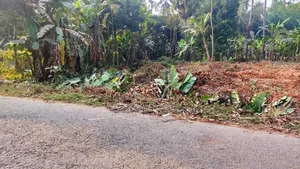 অল্প দামে ২০ শতক জমি