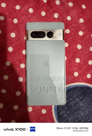 Google Pixel 7 Pro 256 GB Gray