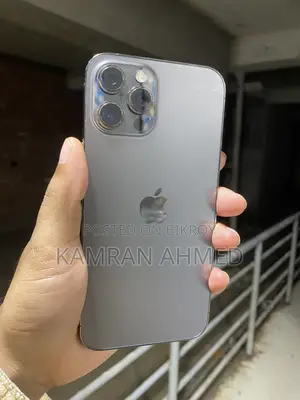 Apple iPhone 12 Pro Max 128 GB Gray