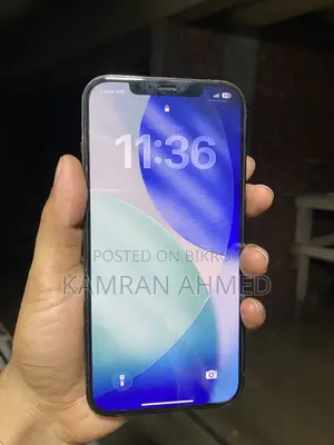 Apple iPhone 12 Pro Max 128 GB Gray